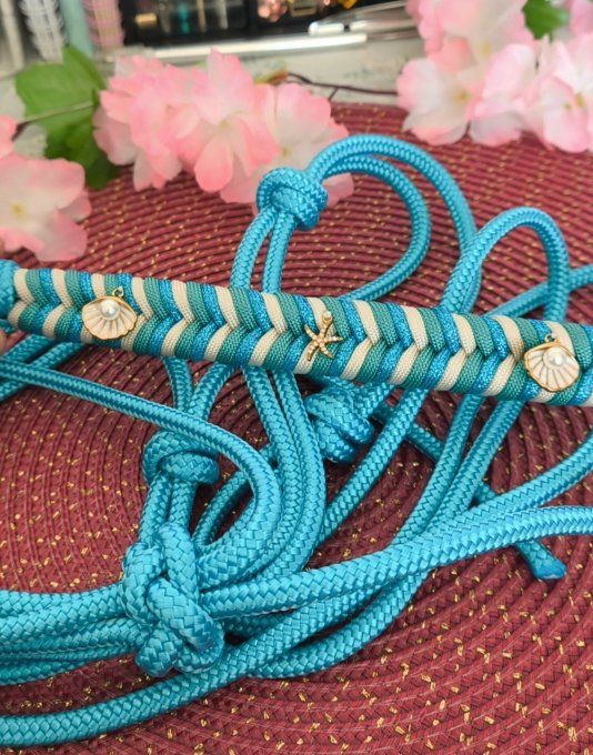 Licol taille Cob Summer édition