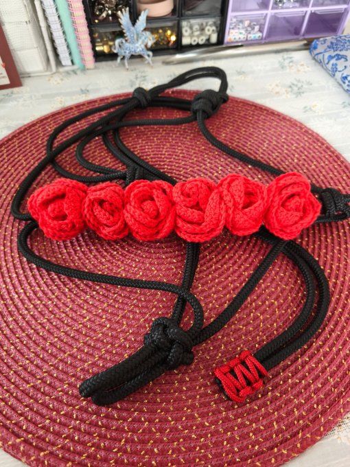 Licol Rosalia 1 taille cob et 1 taille cheval